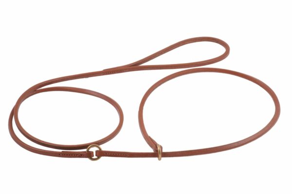 Flatleadhwithcollar