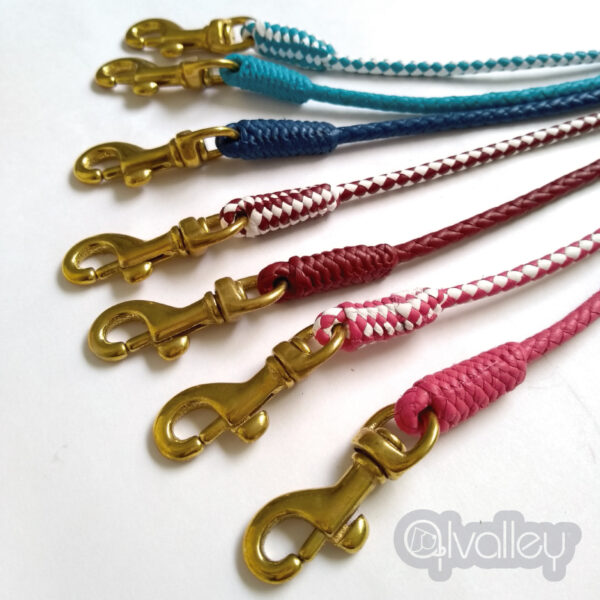 Braided Leather Snap Leads
