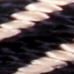Black gold