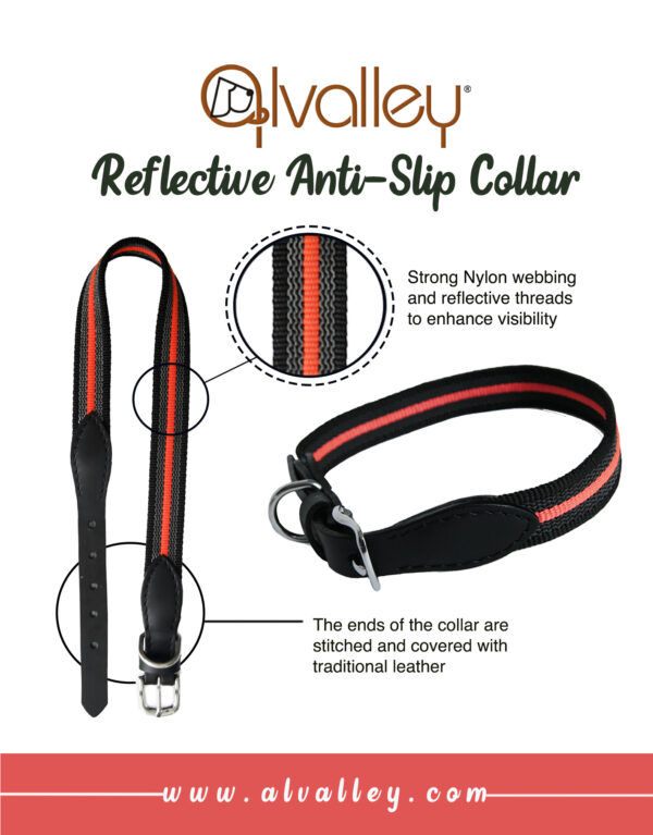 Reflective Anti-Slip Dog Collar with Buckle