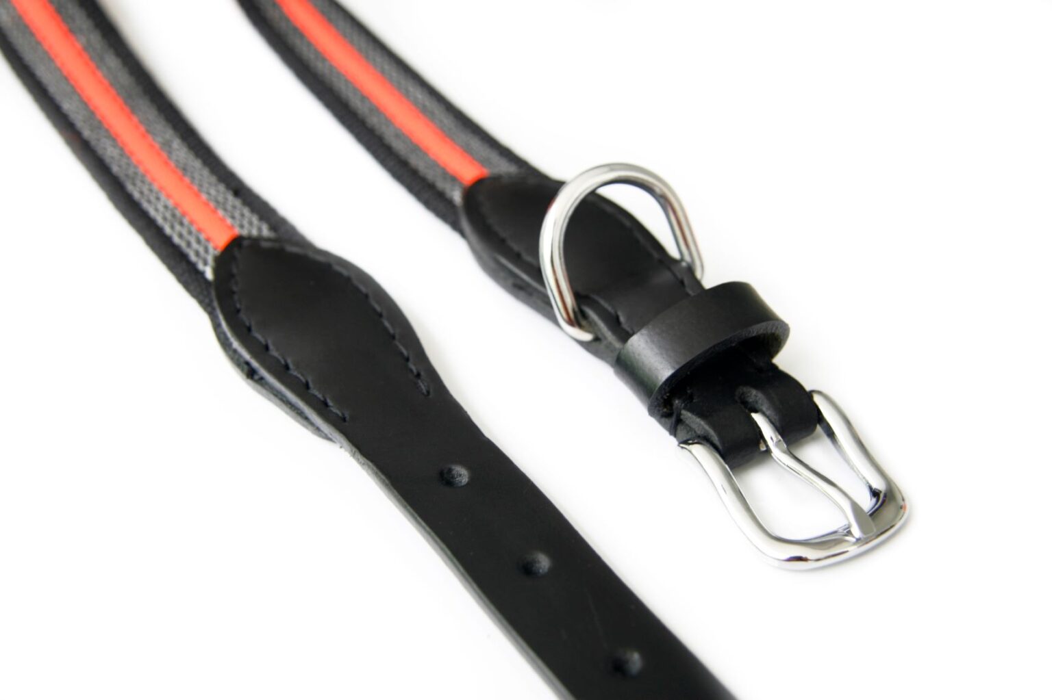Reflective AntiSlip Dog Collar with Buckle Alvalley LLC